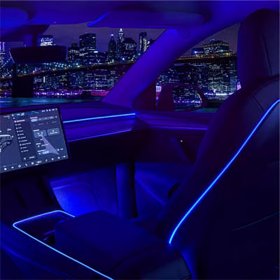 Nestour Interior Car Neon Lights with Matching Armrest Organizer