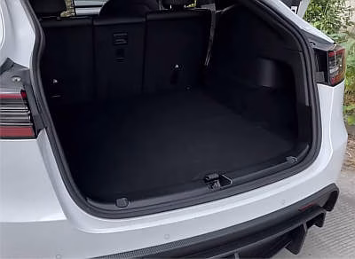 BEEGROW 3D Carbon Fiber Rear Bumper Guard